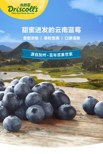 怡颗莓 当季云南蓝莓 约125g/盒*12盒*2件