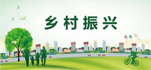 争当新时代乡村振兴生力军——我们应该怎么做?