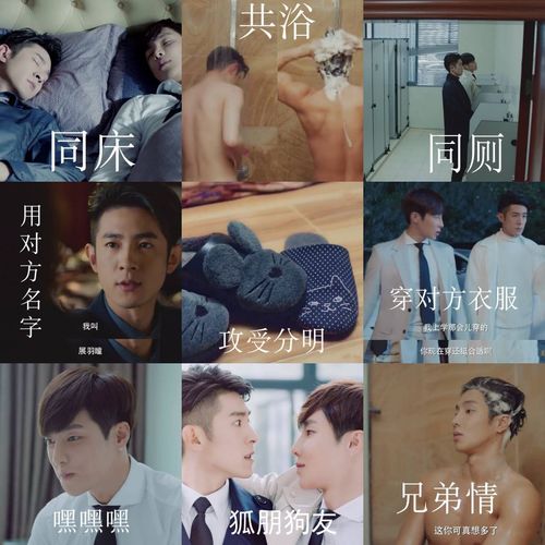 谜案集》高瀚宇季肖冰男男cp,谁攻谁受傻傻分