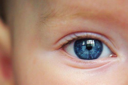 geek研究: 为什么新生儿的眼睛是蓝色的?(1)