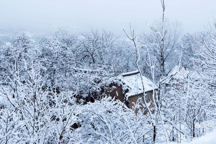 其它 下雪了 写美篇 2020年11月21日拍摄于晋城市吴王山