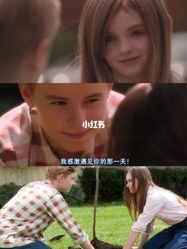10部高分浪漫梦幻欧美爱情电影_电影_浪漫_爱情电影_爱情故事_笔记本