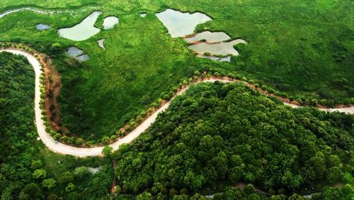 航拍武汉龙灵山生态公园:城市"绿肺",春意盎然