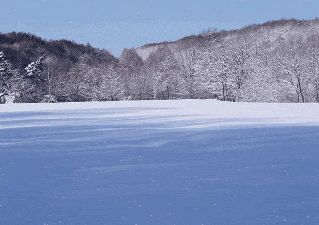 美丽的雪景固然美,但是气温直线下降,真是要冻成狗啊!