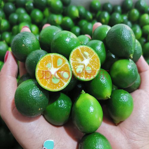 顺丰新鲜海南青金桔小柠檬皮薄多汁小青柠奶茶批发泡水水 1斤海南青