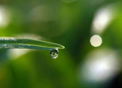 轻音乐《early in the morning》舒缓柔美,宁静轻松