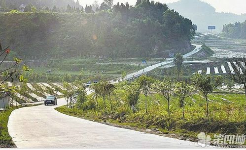 今日南部县农村的乡村公路
