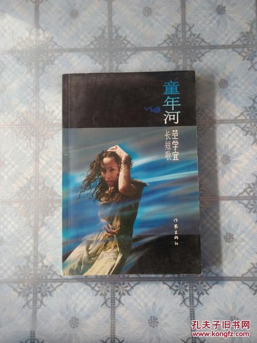 童年河(范学宜)_简介_价格_文学书籍_孔网