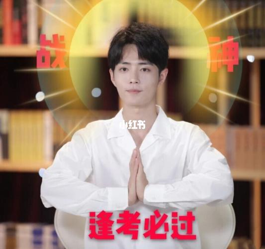 肖战王一博逢考必过表情包