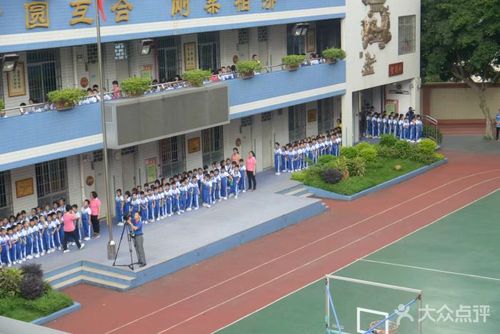 金兰苑小学图片