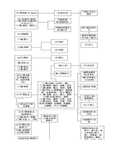 红楼梦关系图1