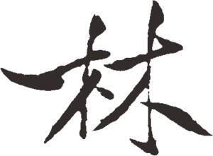 少林字体设计变体字花体字艺术字美术字