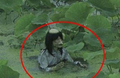 真正水猴子图片2021真实水猴子为什么要拉人