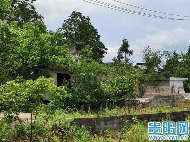 一年多时间"用"了12万元的水 观山湖窦官村村民一家懵