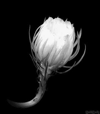 动!动 !动 !动 !动!美!美!美!美!美!