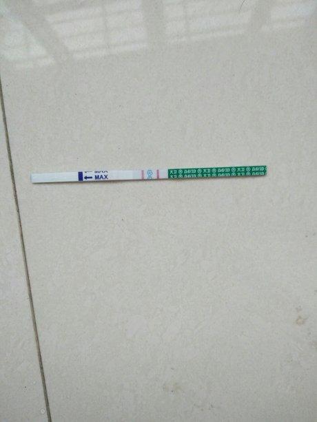 试纸测试怀孕的图片