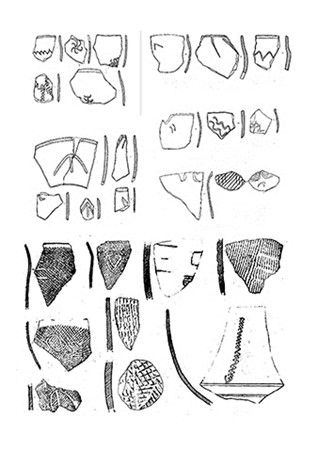 贾湖遗址刻符龟甲