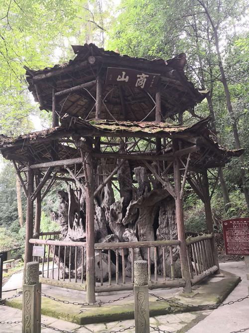 游二王庙及离堆公园记