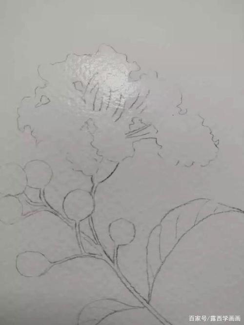 楼继伟:中方呼吁构建国际税收新秩序