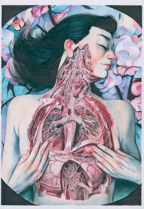 内医大学生手绘解剖图获奖!网友:被学医耽误的灵魂画手