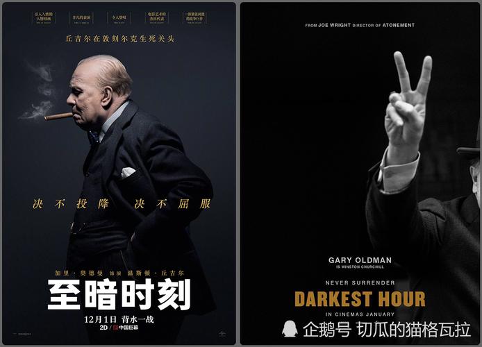 近十年的中国影院中,放映过这些奥斯卡获奖影片