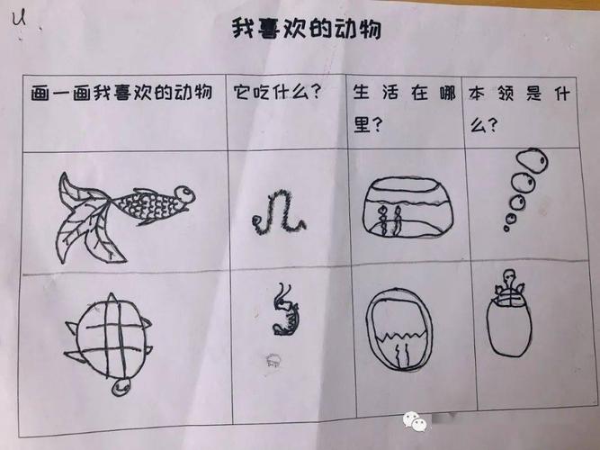 【三之三@华盛顿a班】班本故事——我的动物朋友