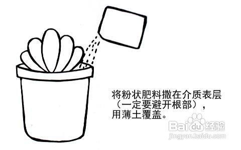 给植物施肥简笔画