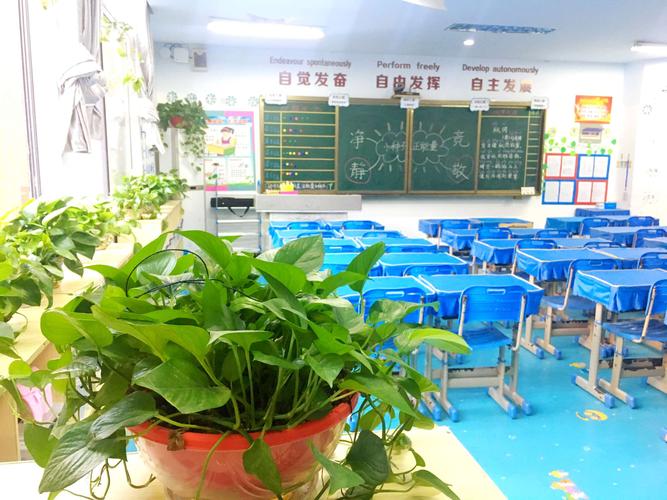 绿色的教室.