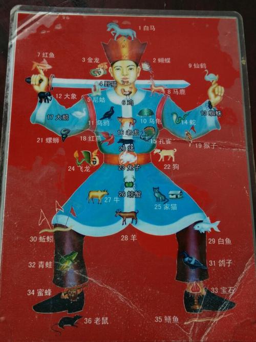 猜成36字花动物