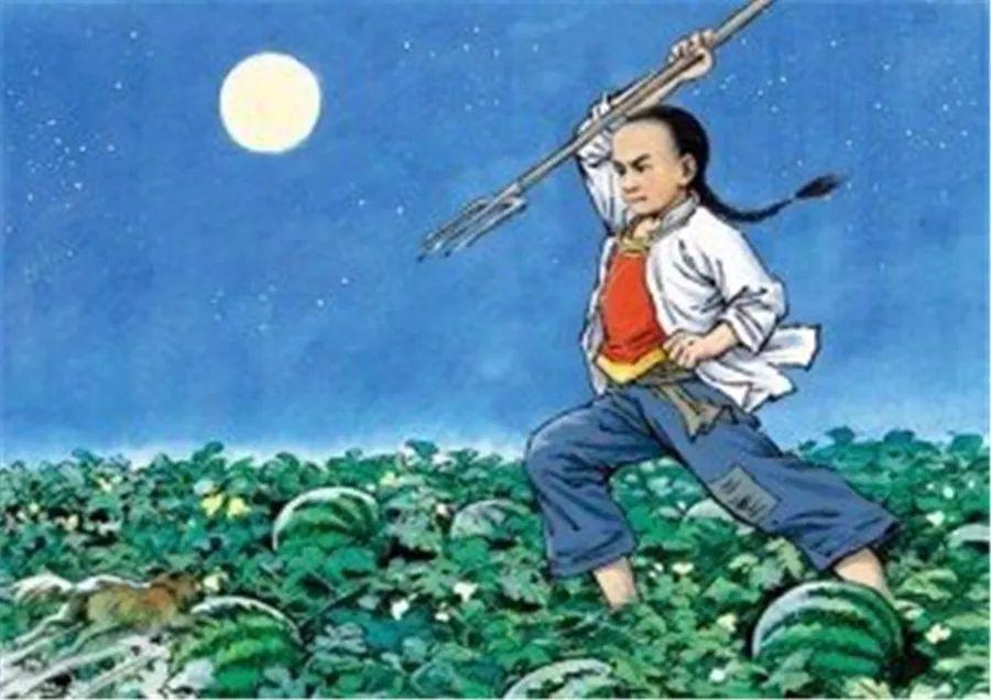 闰土刺的猹和蜜獾是老表