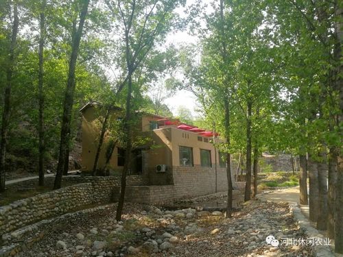 保定市政府→阜平县城石湖红色茶园→阜平菩提湖→红色城南庄革命纪念