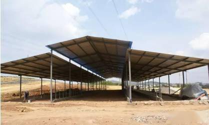 哪种牛舍类型最经济适用,而且适合我们养牛人!_牛棚