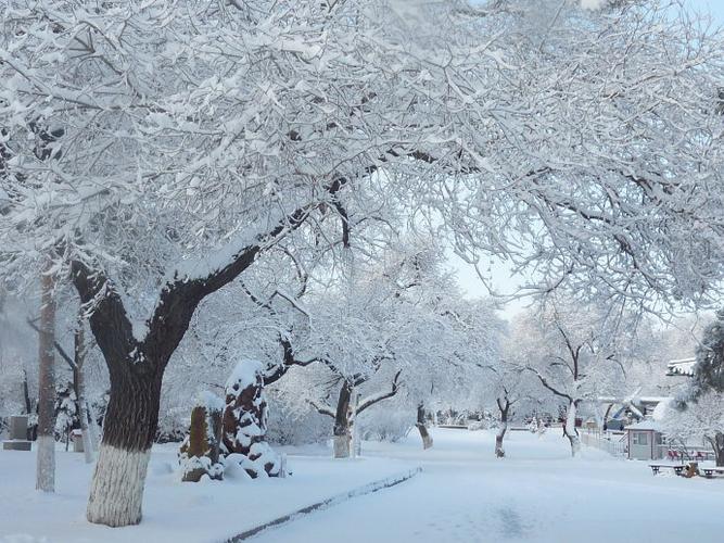 [转载]实拍:罕见的四月鹤城梦幻雪景