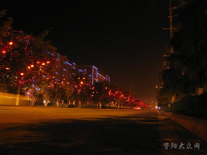 这是今年乐至帅乡大道过年时节的夜景