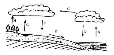 读 "水循环示意图"回答