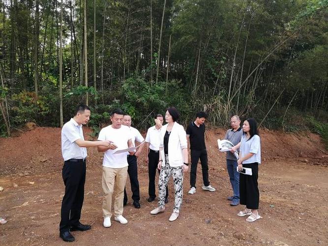 副市长陈磊到我区开展工作调研
