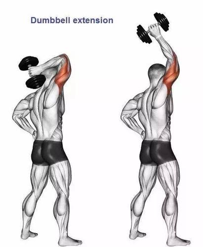 最全的肱二三头肌训练图解,漂亮手臂必备!