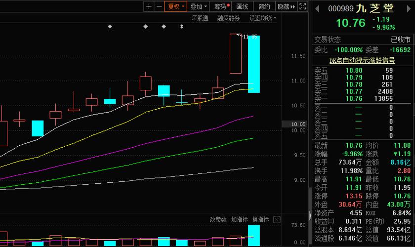 我最近在盯盘观察支股票【九芝堂000989】,对这股各方面状况摸个透底