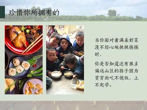 珍惜美好生活,珍惜粮食,吃饭不挑食.