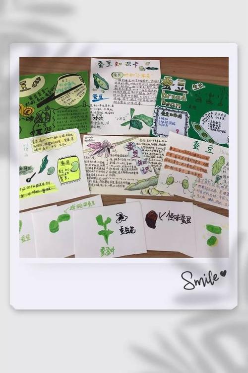 分析表,一份份蚕豆观察日记,孩子们用文字与图片,记录蚕豆们的成长