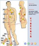 足少阴肾经