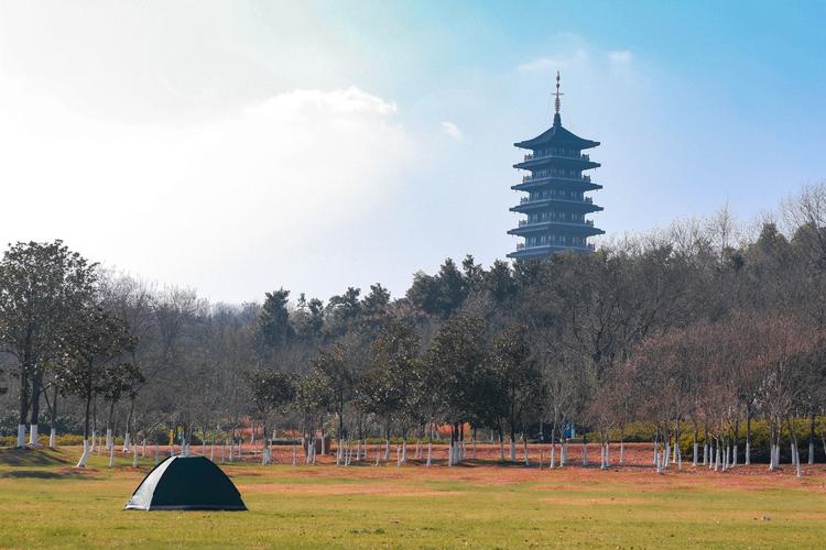 宜兴龙背山森林公园2019.12.