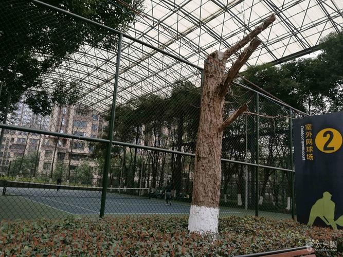 跑步:江北石子山体育公园早起的人儿