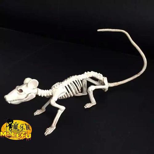 鬼屋密室逃脱机关仿真老鼠模型骨头万圣节恐怖道具盗墓骷髅骨架骼