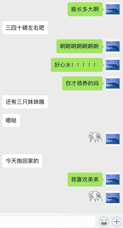 手机聊天记录简笔画