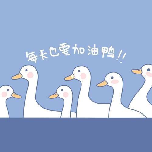 每天都要加油鸭_朋友圈_朋友圈背景图_素材_壁纸