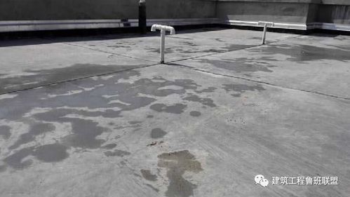 保护层钢筋安装 屋面40厚c20细石砼防水保护层,内配Φ6@150双向