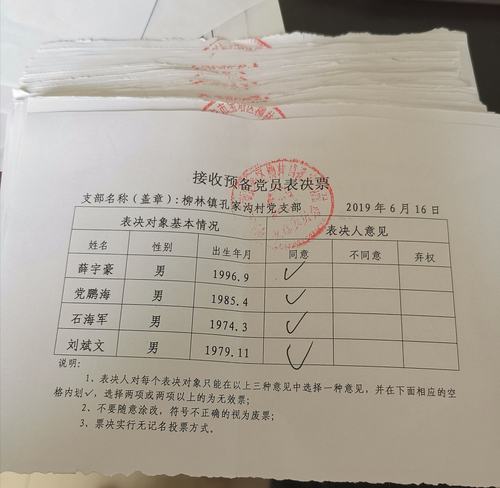 孔家沟村党支部表决通过2019年积极分子转预备党员