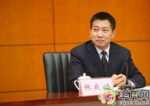 市四届人大四次会议召开首场记者会 聚焦重庆"十三五"规划(组图)