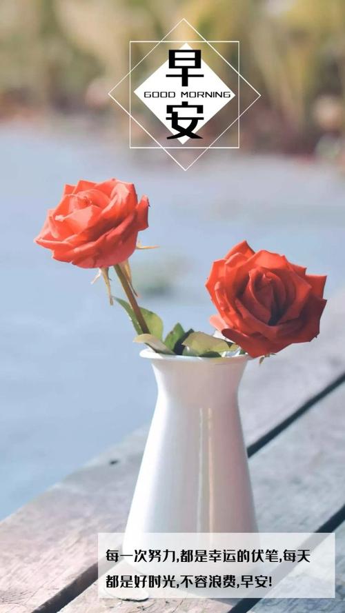 早安语录新的一天新的开始加油